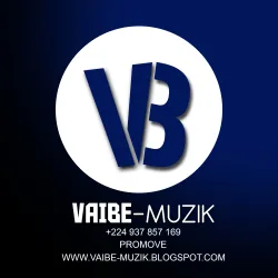 VaibeMuzik1743262296.webp