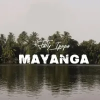 Fally-Ipupa-Mayanga-Fally-Ipupa-Mayanga.webp