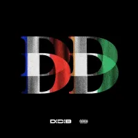 Didi-B-DD-HQ-.webp