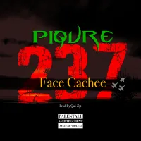 Face-cachee-Piqure237.webp