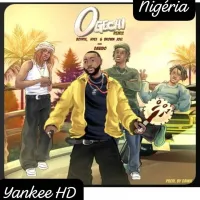 BoyPee-Ft-Hyce-x-Davido-x-Brown-Joel-Ogechi-Remix-Yankee-HQ-.webp