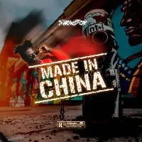 ShowBoy-Made-in-China.webp