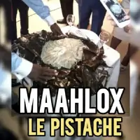 Maahlox-Le-Vibeur-Le-Pistache.webp
