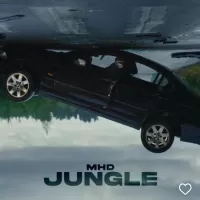 MHD-Jungle.webp